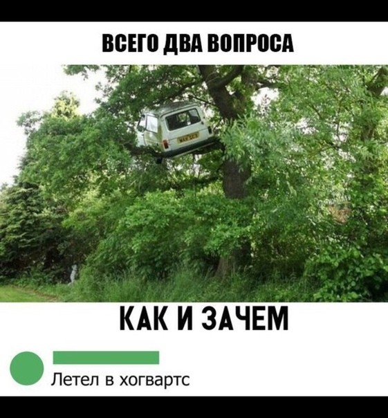 КАК И ЗАЧЕМ _ Летел в хогвартс