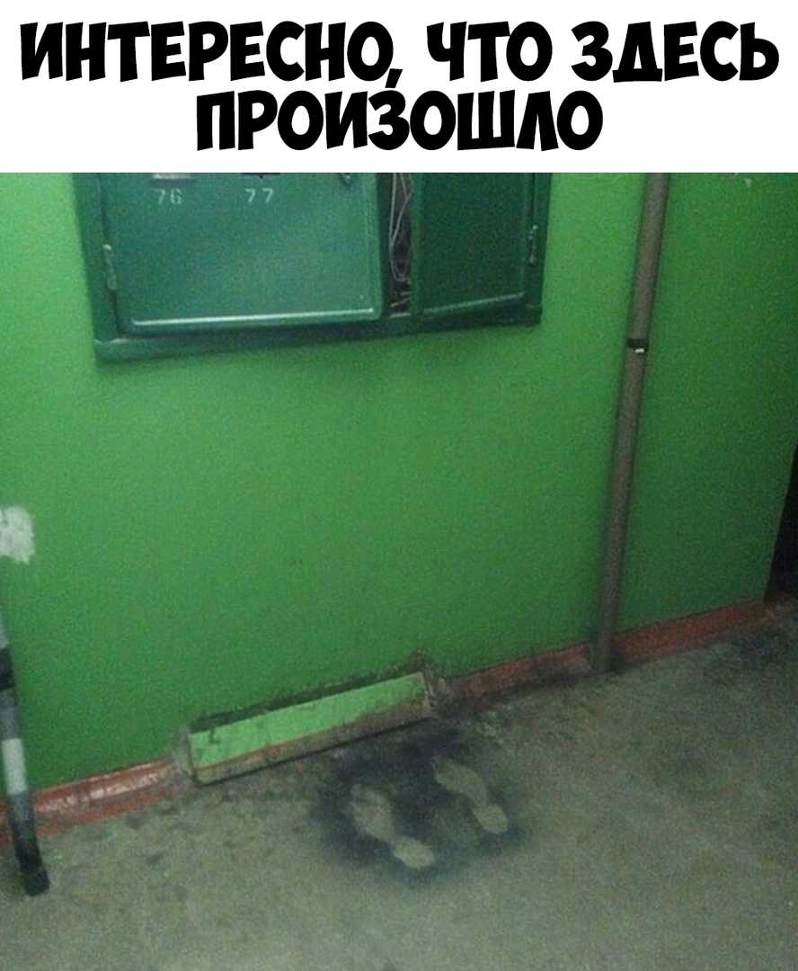 интврвсно что здесь произошло