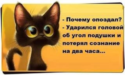 а и ч нп шик