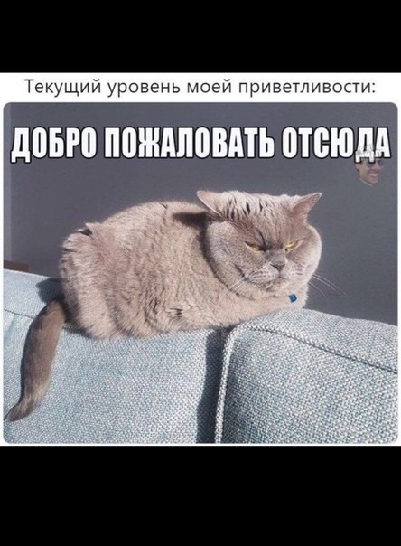 Текущиу урозснь ЧОСИ трлветмвопи ШШШШШЬ 3