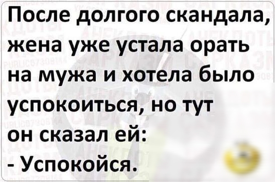 После долгого скандала жена уже устала орать на мужа и хотела было успокоиться но тут он сказал ей Успокойся