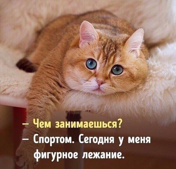 ем занимаешься Спортом Сегодня у меня фигурное лежание