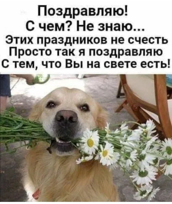 Поздравляю С чем Не знаю Этих праздников не счесть Просто так я поздравляю С тем что Вы на свете есть