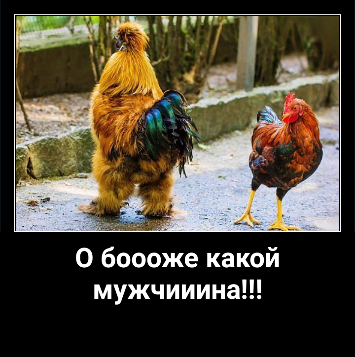 53 ч ЁЧ 0 боооже какой мужчииина