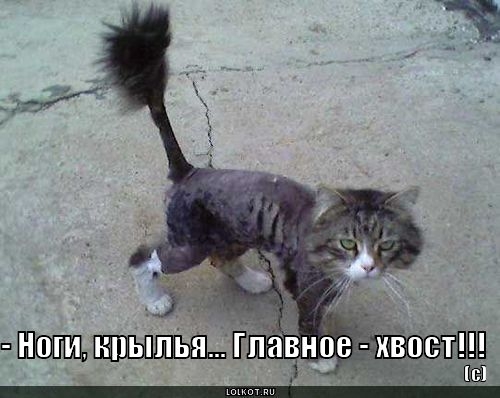 за нпыпьяПпавное