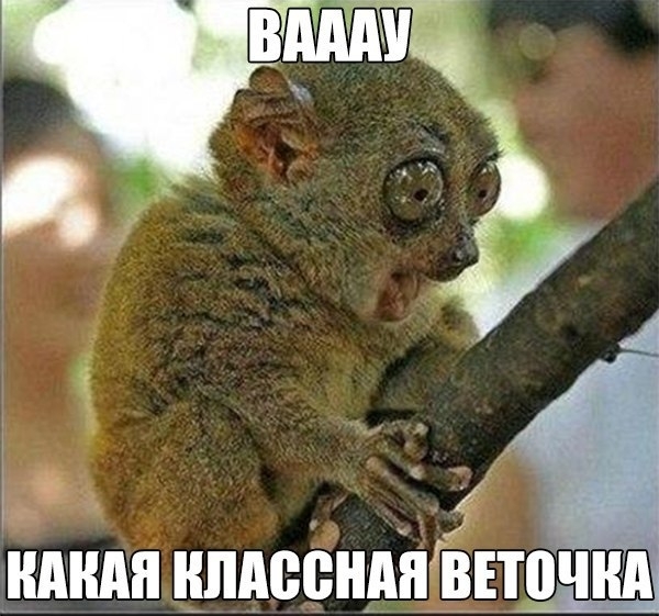 45 НАШ ШШВВШШЁ