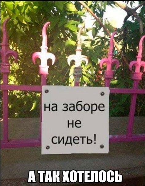 на заборе _сидеть _ д ТАН ШТШПВЬ