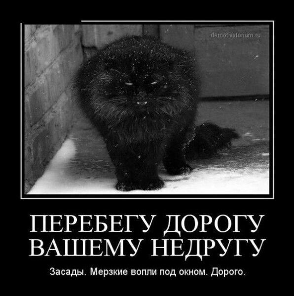 ПЕРЕБЕГУ ДОРОГУ ВАШЕМУ НЕДРУГУ засады Мерзкие вопли под окном Дорого