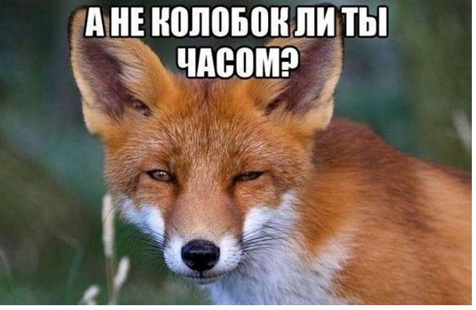 А ИЕ 0501 ПИ ТЫ ЁЁЁЁЁ_1