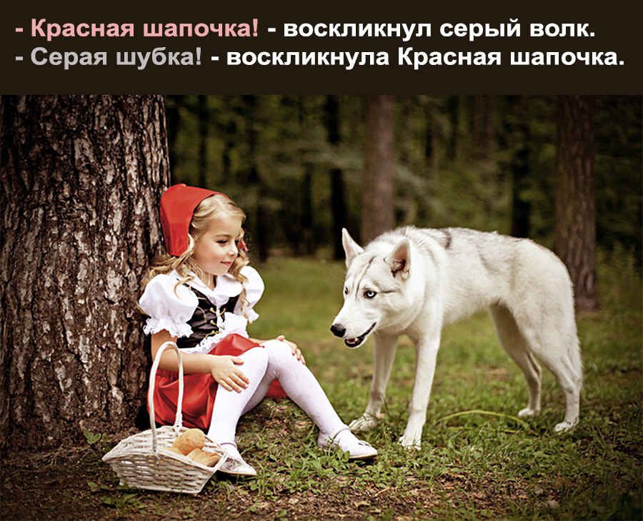 Красная шапочка воскликнул серый волк Серая шубка воскликнула Красная шапочка