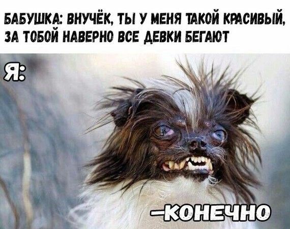 БАБУШКА ВНУЧЁК ТЫ У МЕНЯ ТАКОЙ КРАСИВЫЙ ЗА ТОБОН НАВЕРНО ВСЕ АЕВКИ БЕГ АЮТ