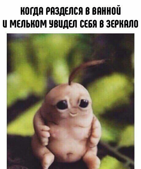 ЮГдП РПЗДЕЛСЯ В ВПННПЙ МЕЛЫЮМ ШШДЕЛ СЕБЯ В ЗЕРНПЛП