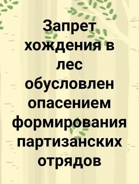 _ _ запреіц ХОЖдеНИЯ в лес обусловлен опасением формирэвания партизайских отрядов