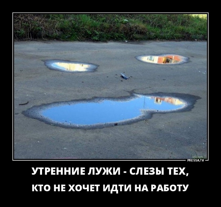 тіззмч УГРЕННИЕ ЛУКИ СЛЕЗЫ ТЕХ КТО НЕ ХОЧЕТ ИдТИ НА РАБОТУ