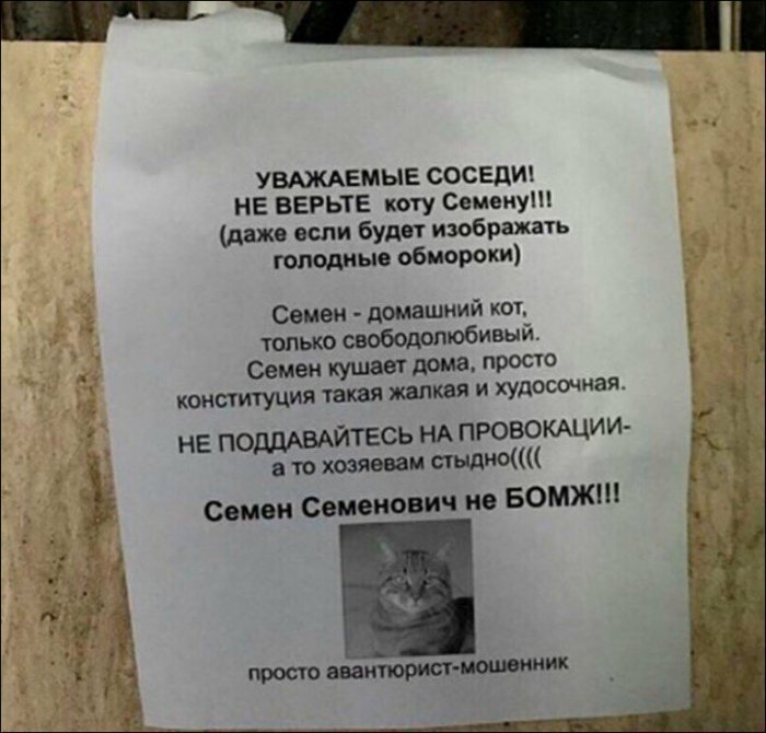 УВАЖАЕМЫЕ СОСЕДИ НЕ ВЕРЬТЕ коту Семену даже если будет изображать голодные обмороки только свободолюбивый Семенкуцюыдома просто конституция такая жалкая и худосочиая НЕ поддАвАйтесь НА провокщии а та хозяевам стыджжщ Сомои Семенович ие БОМЖ Семен домашний кот