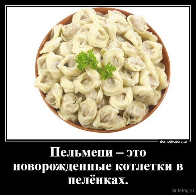 Пельмени это новорожденные котлетки в нелёнках