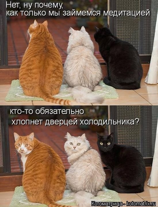 Нет ну почему как только мы займется д ита де Ц тд