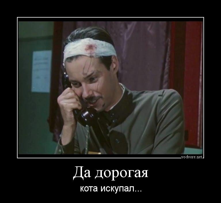 Да дорогая кота ИСКУПЗП
