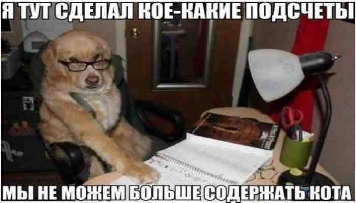 я тпщдшцп нцьнднишодечпы