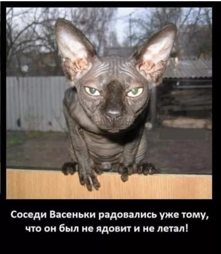 Соседи Васеньки радовались уже тому что он был не ядовит и не летал