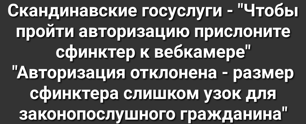 Скандинавские госуслуги Чтобы пройти авторизацию прислоните сфинктер к вебкамере Авторизация отклонена размер сфинктера слишком узок для законопослушного гражданина