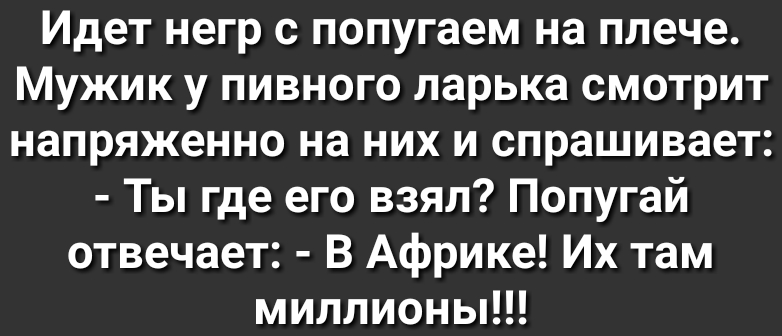 Идет негр с попугаем на плече Мужик у пивного ларька смотрит напряженно на них и спрашивает Ты где его взял Попугай отвечает В Африке Их там миллионы