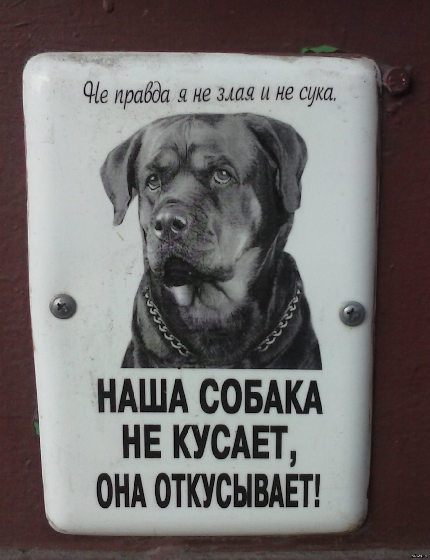 Не правда я не злая не сука НАША совАКА нв кусАЕт ОНА откусывш