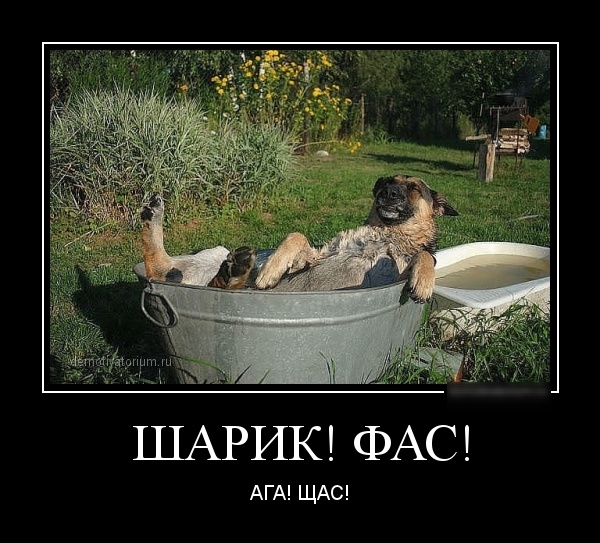 ШАРИК ФАС АГА ЩАС