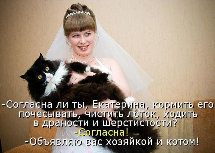 корми к 0_дГ гласна_ ш ло 3С хозяикои 1 кии _