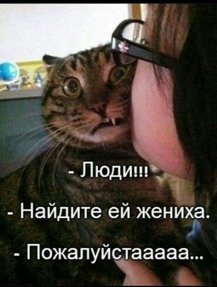 Люди Найдите ей женибЁъ Пожалуйсёааааа