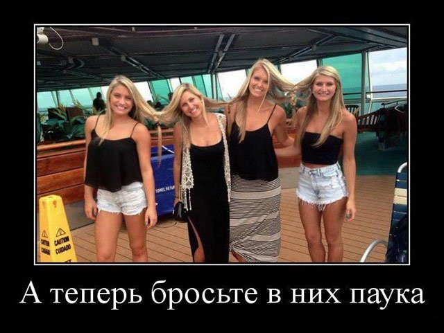 А теперь бросьте в них паука