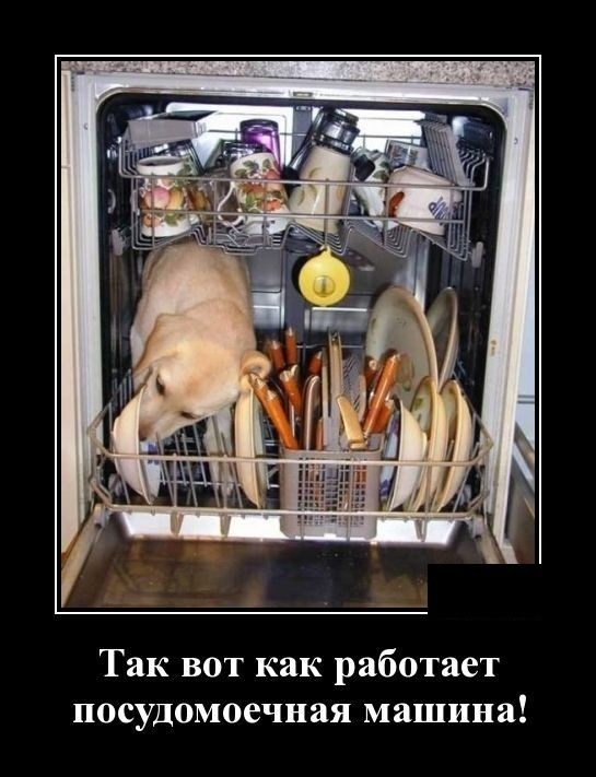 Так вот как работает посудомоечная машина