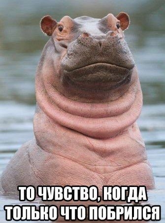 ПШЫЮ ЧП ПВБРИЛЁЯ