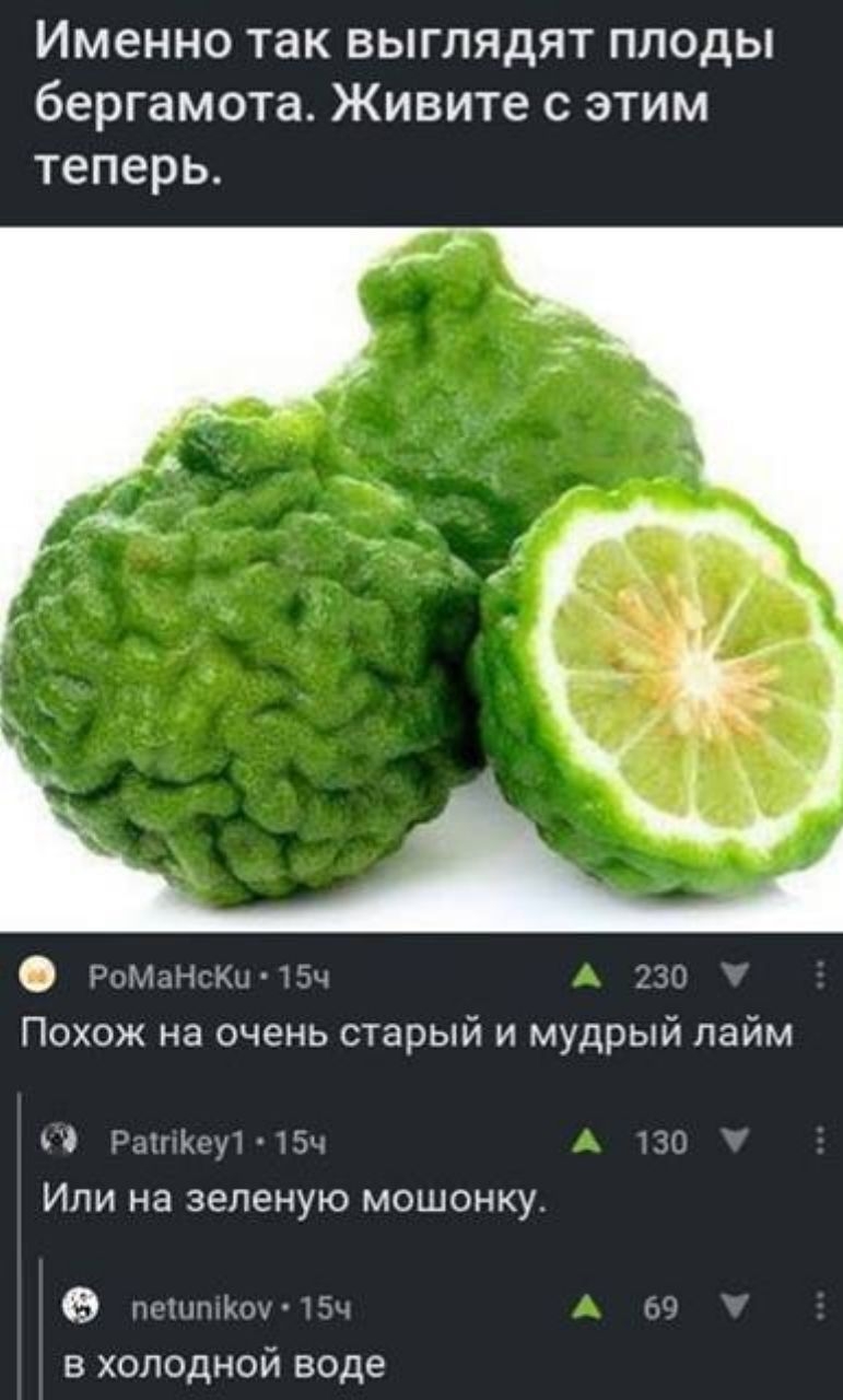 Именно так выглядят плоды бергамота Живите с этим теперь О РММцНГКЦ пач 131 10 Похож на очень старый и мудрый лайм Гб Ратггітщ 15 126 Или на зеленую мошонку ппНн_хэ ч Зч в холодной воде