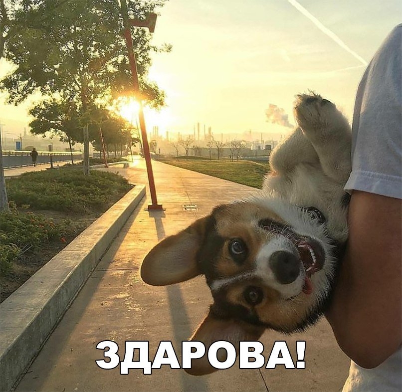 д А А 7 3 АРОВ