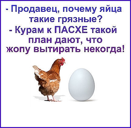 Продавец почему яйца такие грязные Курам к ПАСХЕ такой ППЗН дают ЧТО ЖОПУ вытирать некогда