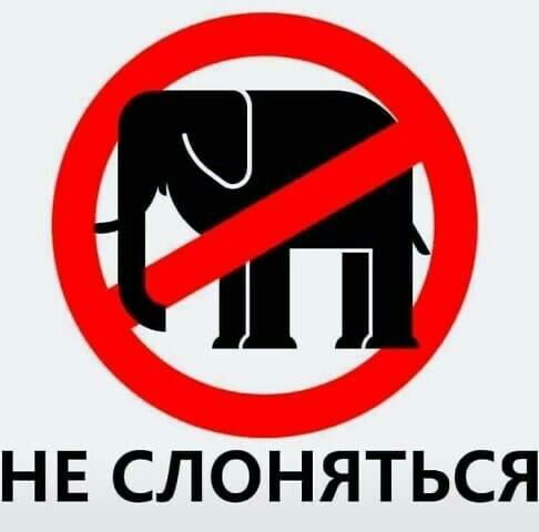 НЕ СЛОНЯТЬСЯ