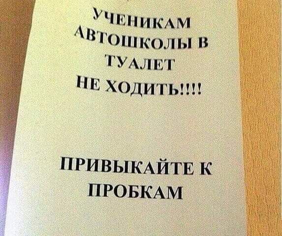 УЧЕЁ іимм ВГошколыв ТУАЛЕТ Е ХОдитьшв ПРИВЫКАЙТЕКЧ ПРОБКАМ