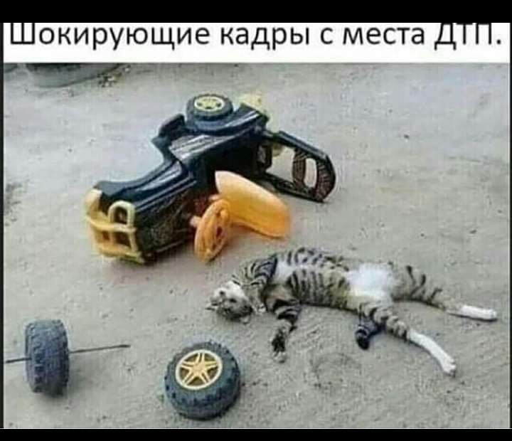 окирующие кадры с места