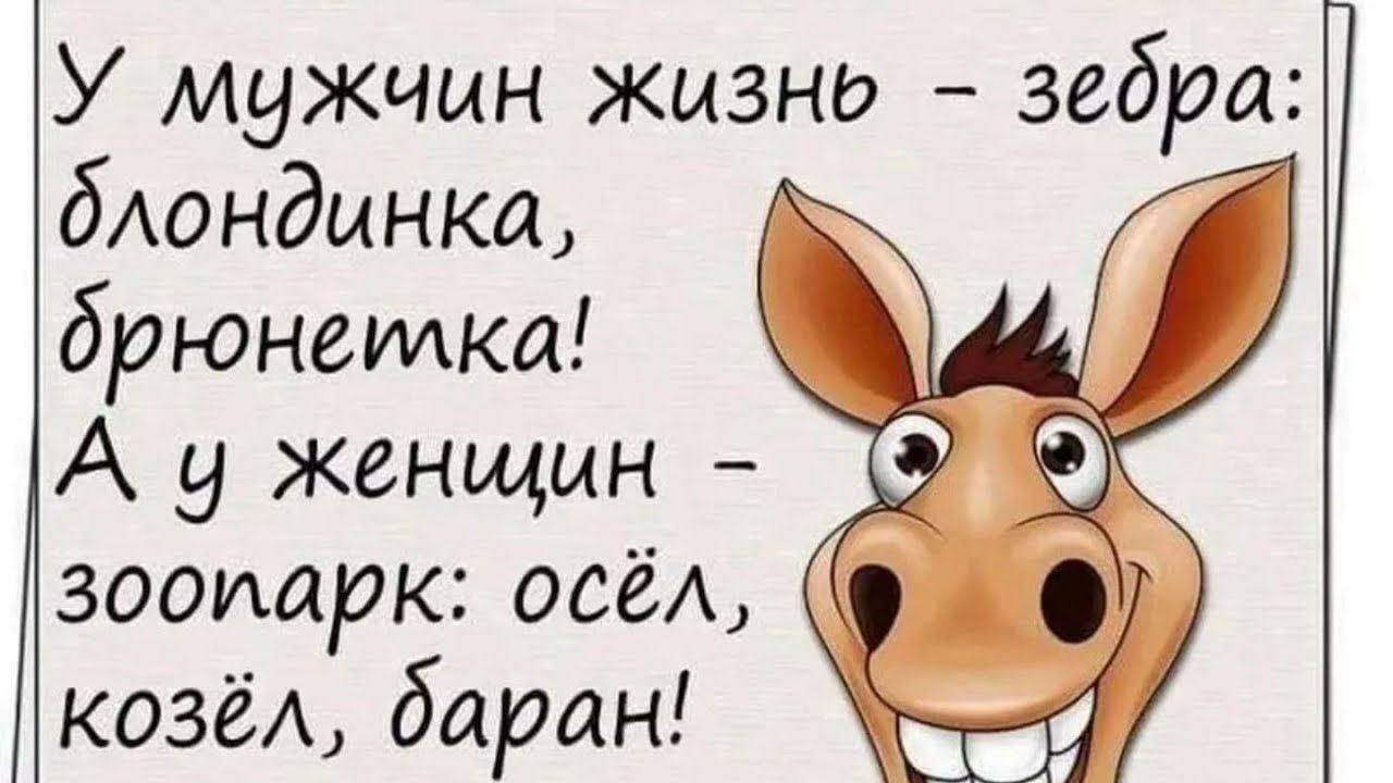 У мужчин жизнд зебра бАондынка Г брюнетка А у женщин зоопарк осёА козёА баран