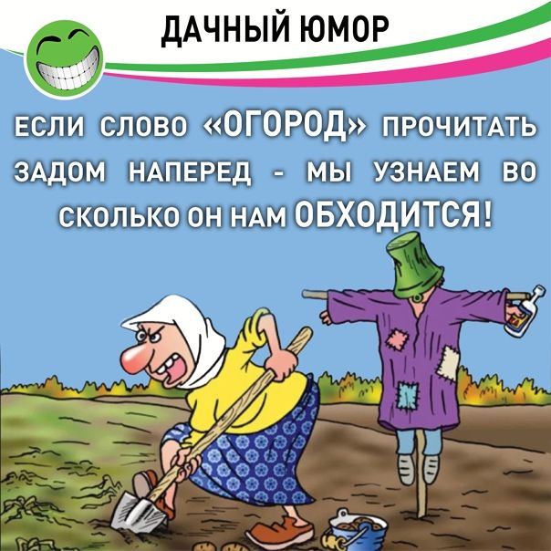 ДАЧНЫЙЮМОР Если слово ОГОРОД ПРОЧИТАТЬ ЗАДОМ НАПЕРЕД мы УЗНАЕМ во сколько он НАМ ОБХОДИТСЯ