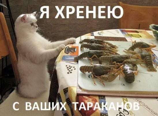 ож я хренею