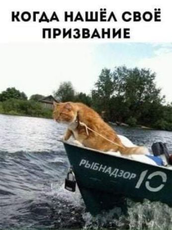 когм НАШЁА своЁ призмнив