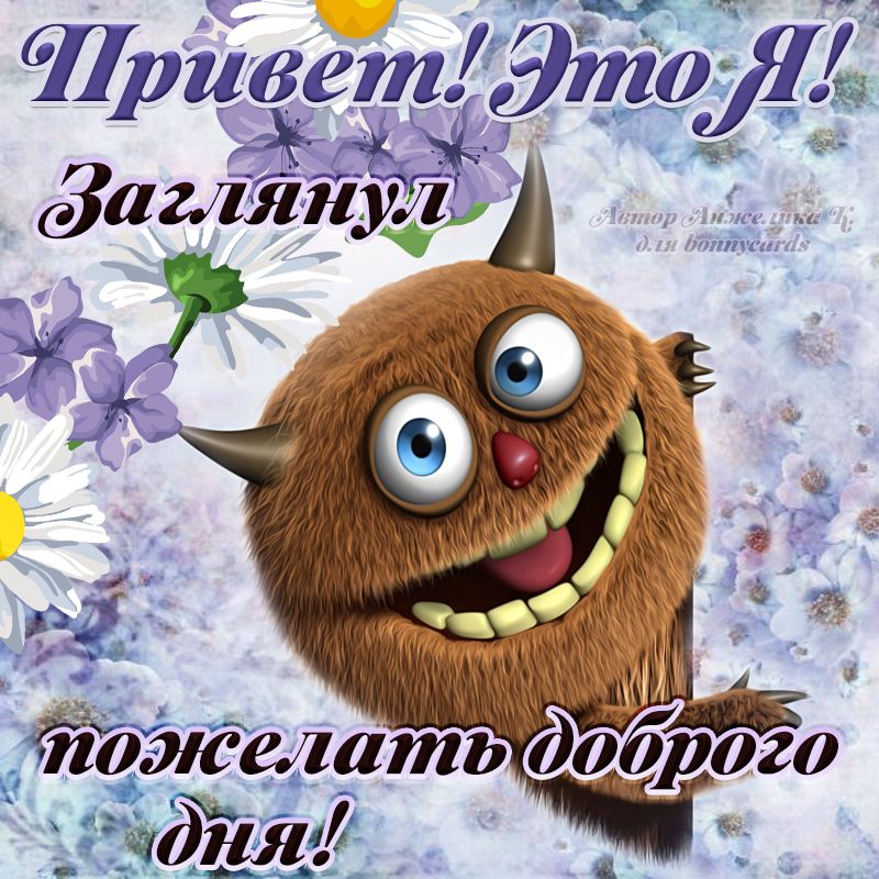 Чривет. Заглянул а