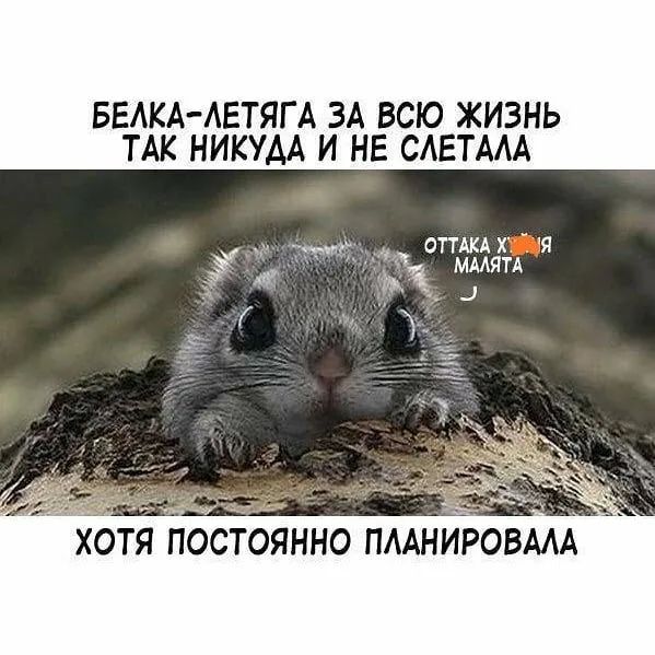 БЕАКА АЕТЯГ А ЗА ВСЮ ЖИЗНЬ ТАК НИКУАА И НЕ САЕТААА ТМ оттдкд я МААЯТА 4 хот потянно ПААНИРОВААА