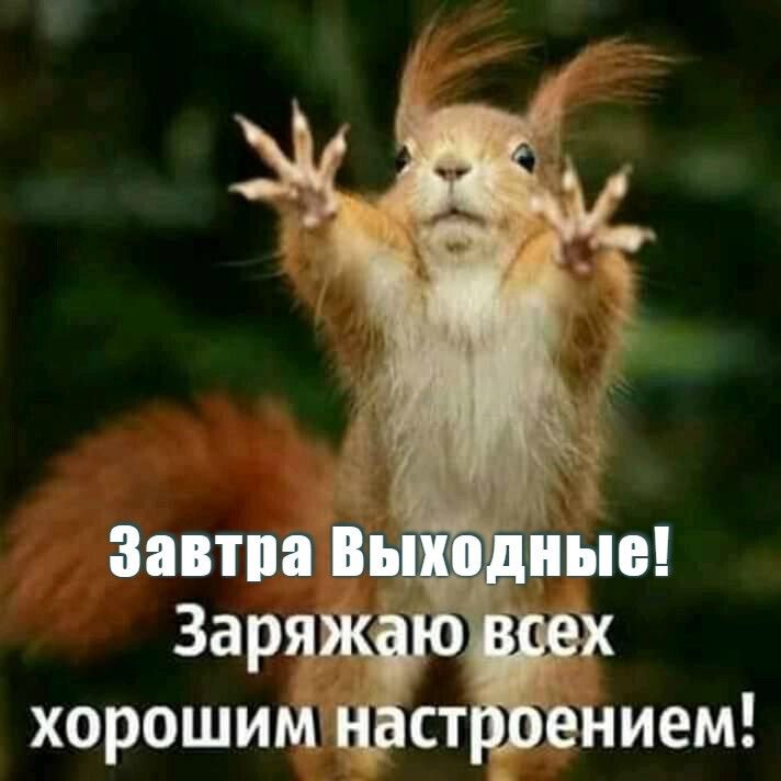 Завтра в _ Заря хорошим