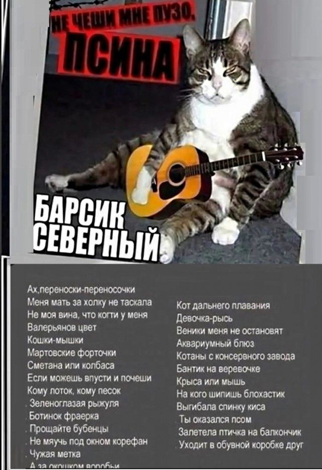 Меня нать за холку но гамм На моя вища что кии у меня Валерьяна цвет Коштиышки Мартовские Форточка Сиечаиа ит колбаса Если можешь впусти и подаци Коцу потм попу песок Зеленоглазая рыхупя БОТ Ф 16 Не чим под стои юрефаи Чужая пета А кипиш пмпдьи Аварии ный био Копин с завода Баки иа веревсжв Крыса или мышь На кот шипишь бюхастик Вытбапа пишу Ты оказался псом Залетела иа баг коми Уходы в обувной кор