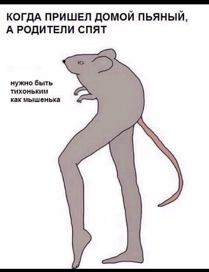 КОГДА пришел домой пьяный А родители спят нужно быть тихоньким как мышенька