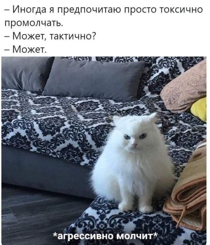Иногда я предпочитаю просто токсично промолчать Может тактично Может агрессивно молчит