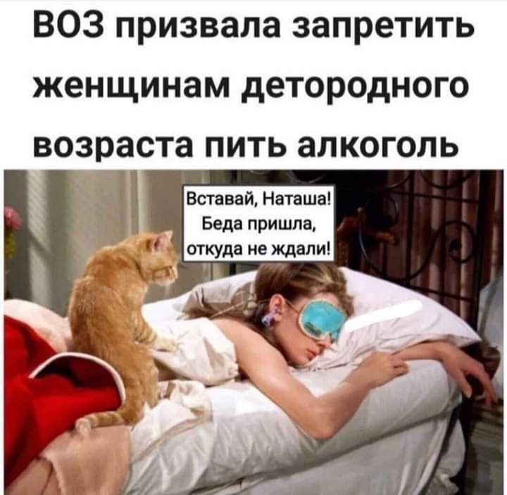 ВОЗ призвала запретить женщинам детородного возраста пить алкоголь И Вставай Наташа Беда пришла откуда не ждали